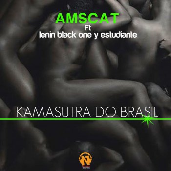Amscat Kamasutra Do Brazil - DJ Mauro Catalini Radio Edit