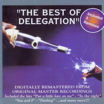 Delegation In the Night - Remix