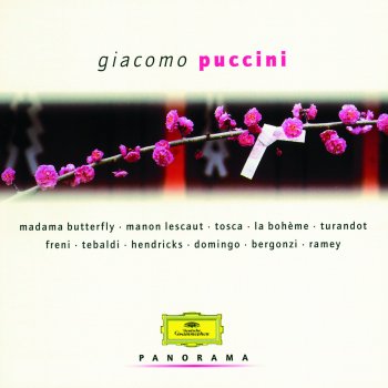 Mirella Freni feat. Orchestra del Maggio Musicale Fiorentino & Bruno Bartoletti Suor Angelica: Senza mamma, o bimbo