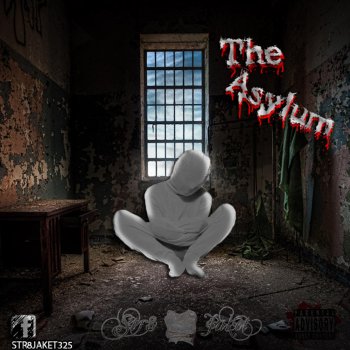 JDK The Asylum