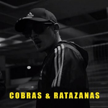 Holly Hood Cobras & Ratazanas