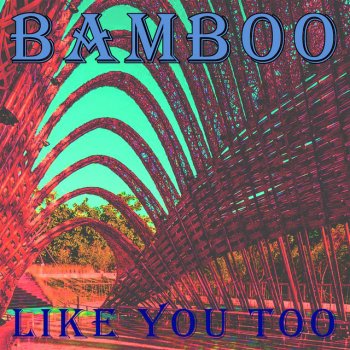 BamBoo Like You Too