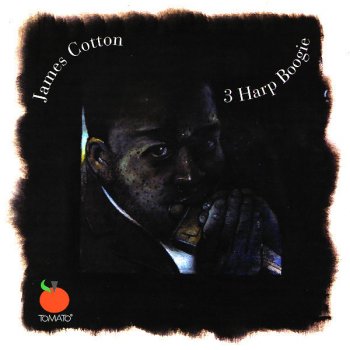 James Cotton There's Something On Your Mind