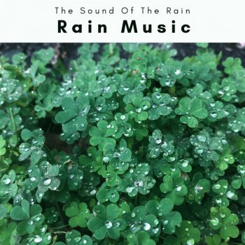 The Sound Of The Rain Soothing Rain Music for Deep Sleep