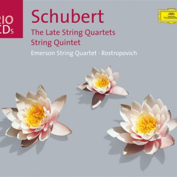 Franz Schubert feat. Emerson String Quartet String Quartet No.15 in G, D.887: 2. Andante un poco mosso