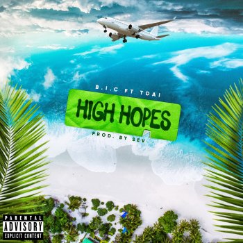 B.I.C. feat. Tdai High Hopes