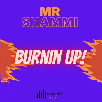 Faby Nez feat. Mr Shammi & Dash Burnin' Up