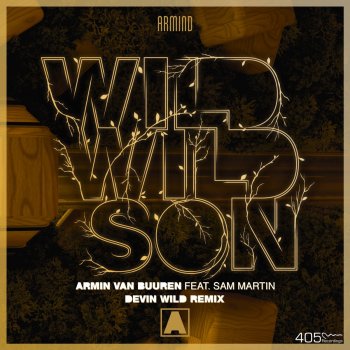 Armin van Buuren feat. Sam Martin Wild Wild Son (Devin Wild Remix)