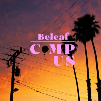 Beleaf Comp Us