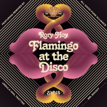 Rory Hoy Flamingo at the Disco (AGFA Remix)