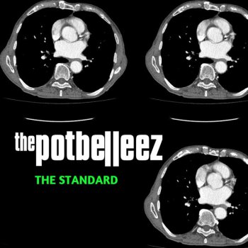 The Potbelleez Never Let You Go