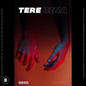 Nesz Tere Bina (feat. Aalekh)