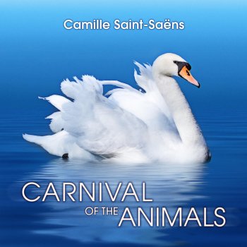 Hungarian National Philharmonic Orchestra feat. Andras Korodi Carnival of the Animals: VII. Aquarium