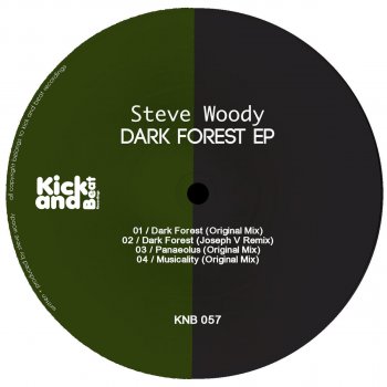 Steve Woody Dark Forest