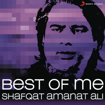 Shafqat Amanat Ali feat. Vishal-Shekhar & Sunidhi Chauhan Bin Tere (From "I Hate Luv Storys")