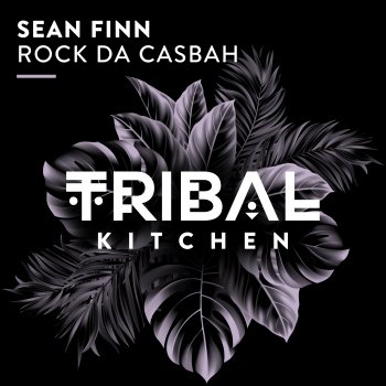 Sean Finn Rock da Casbah