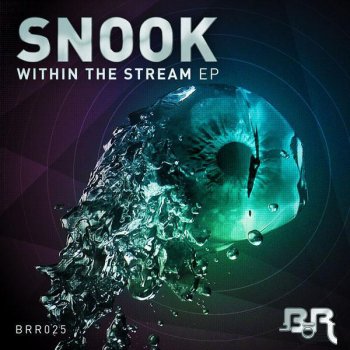 Snook Within The Stream - Original Mix