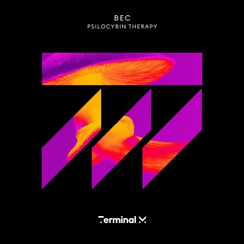 BEC feat. Egbert Psilocybin Therapy - Egbert Remix