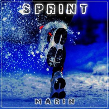 MARIN Free Spirit