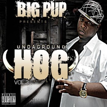 Big Pup feat. K Rino & Coop D da King Hard Livin'