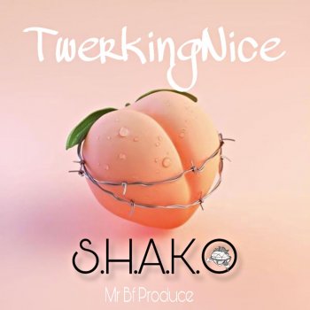 Shako TwerkingNice