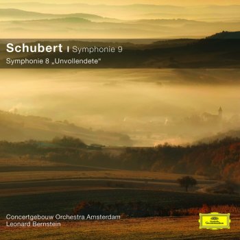 Franz Schubert, Royal Concertgebouw Orchestra & Leonard Bernstein Symphony No.8 In B Minor, D.759 - "Unfinished": 1. Allegro moderato - Live At Concertgebouw, Grote Zaal, Amsterdam / 1987