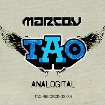 Marco V Analogital (Original Mix)