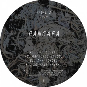 Pangaea Mackerel