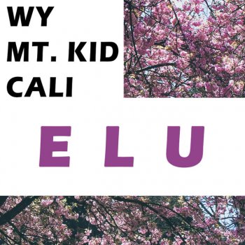 Wy feat. Mt. Kid & Cali Elu