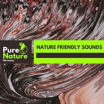 Sounds of Nature Noise Black Bird