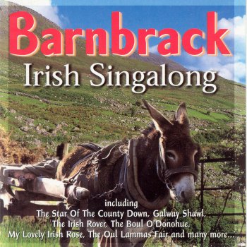 Barnbrack The Star Of The County Down