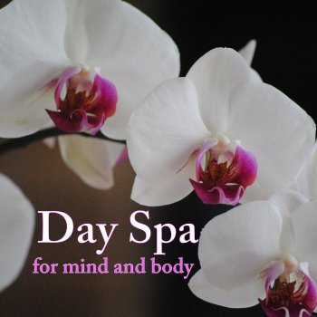Spa Music Collective Healing Massage