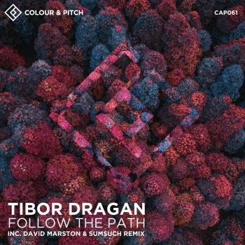 Tibor Dragan feat. Sumsuch & David Marston Follow the Path - David Marston & Sumsuch Remix