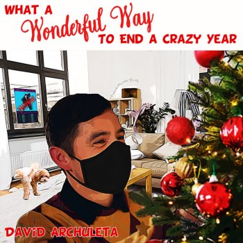 David Archuleta What a Wonderful Way to End a Crazy Year