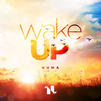 Numa Wake Up