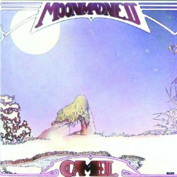 Camel Another Night (single version)