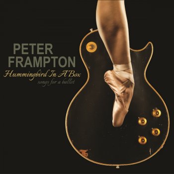 Peter Frampton Hummingbird In a Box