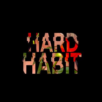 Tash Hard Habit