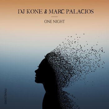 DJ Kone One Night