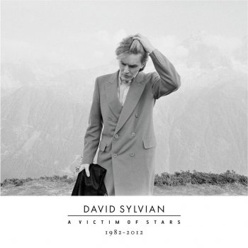 David Sylvian Forbidden Colours