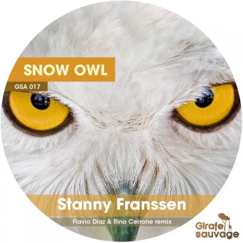 Stanny Franssen Snow Owl (Rino Cerrone & Flavio Diaz Remix)