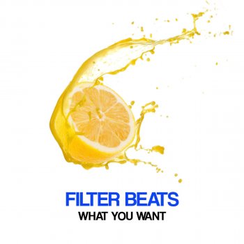 Filter Beats feat. Ian What You What - Joy Kratman Remix