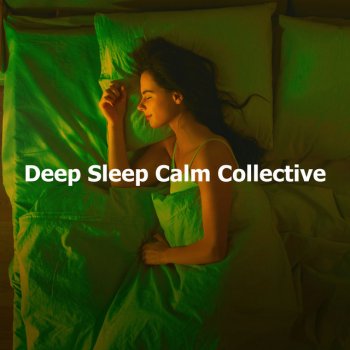 Deep Sleep Music Collective Woodland Rain