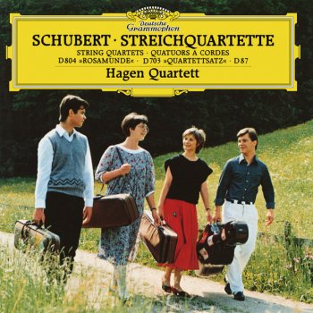 Franz Schubert feat. Hagen Quartett String Quartet No.13 In A Minor, D.804 - "Rosamunde": 1. Allegro ma non troppo