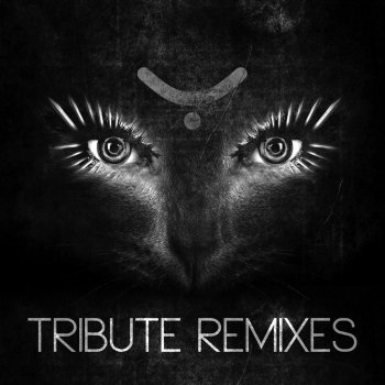 Yoji Biomehanika feat. Dj Thera Hardhouse Raver - DJ Thera Remix