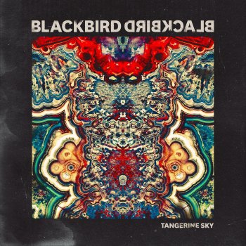 Blackbird Blackbird Feel It In My Bones