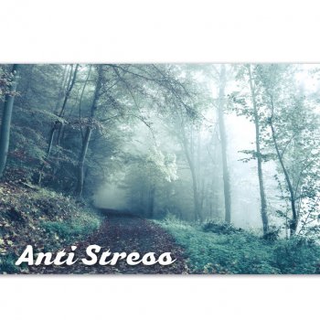 Anti Stress Music Zone Serenity & Peace