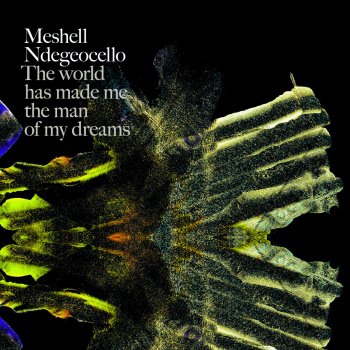 Meshell Ndegeocello Article 3