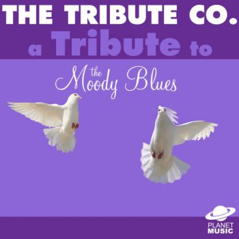 The Tribute Co. Nights in White Satin