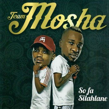 Team Mosha Sofa Silahlane